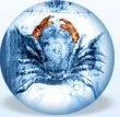 horoscop saptamanal zodia rac