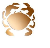 Horoscop zilnic zodia Rac