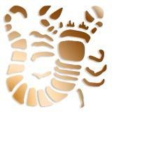 Horoscop zilnic zodia Scorpion