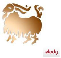 Horoscop zilnic zodia capricorn