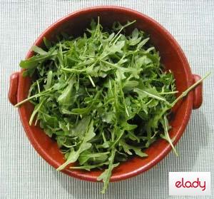 planta numita rucola cum se numeste in romana