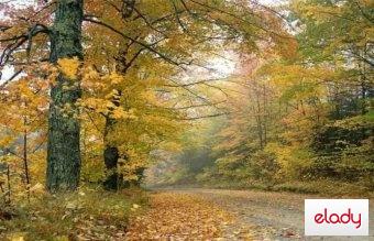 A venit toamna...