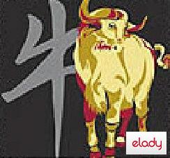 Horoscop Chinezesc 2009: Zodia Bivolului Boului Bivol Boul